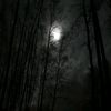 zmp28885o02