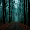 z.o.n.a_12