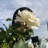 mymyuu36
