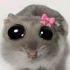 seewasut0