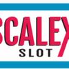 scalexseller