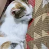_nguyenha85