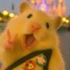 hamster.000005