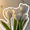 lovelly.viaa26