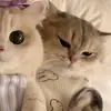 itsethxnn