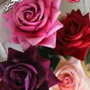 alaa_alaa747