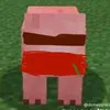 jetmientayk12