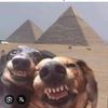 2arkads