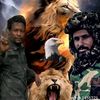 youssouf8774615609391
