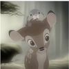 the_littledeer
