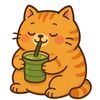 meowkinmatcha