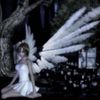 lovequinn222