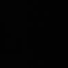 sophia_rrst