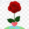 user81136163770243