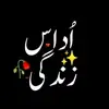 baber.ali1653