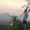 huynyavashtiktok