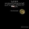 wesam.mohammed59
