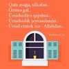 vidadi_balaken