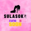 sulasok.cz