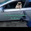 motroskin.vpotoke