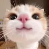 maycola.mc