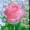 user8605795403149