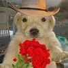 don_ian0