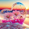 marwa.marwa2804