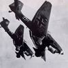 fredystuka