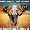 kapustadapomidor