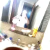 mxrtx_zxchx