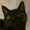 oddboi73