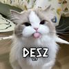 deszxml