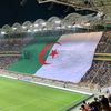B O B   D Z   213 🇩🇿