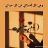 dina_2011_11___15