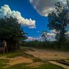 linno_25
