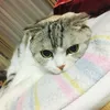 user8001297090443
