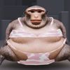Chunkythemonkey