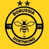 bvb.dortmund07