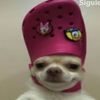vivi.nolasco