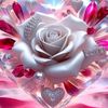 ali.ansari783