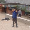 Pedrito