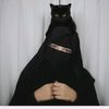 aisha.hmr2630