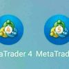 Deriv mt5 account