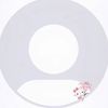 nicol_3775