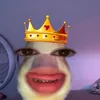 uesues764