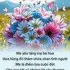 nguyn.th.t429