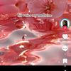 user5815254779246