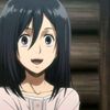 mikasa_eren_123