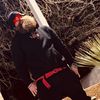 quinn_the_lionheart